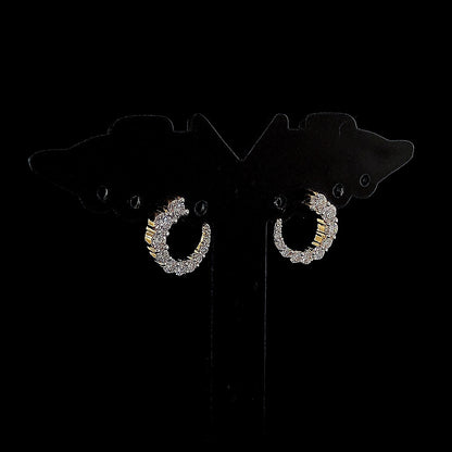Designer Round Swirl Earring