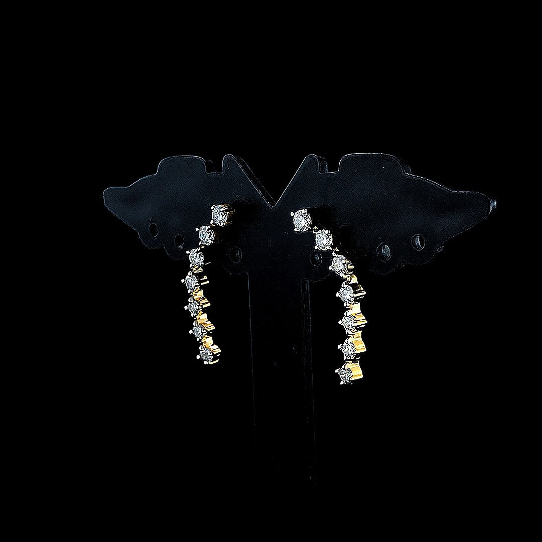 Long Arch Fancy Earring