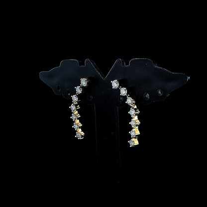 Long Arch Fancy Earring