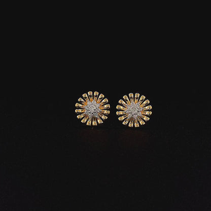Elegant Floral Designed Earring